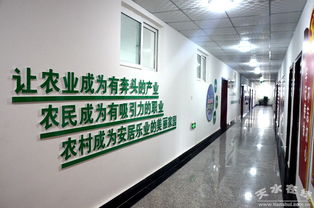中國(guó)電子科技集團(tuán)消費(fèi)扶貧新舉措 采購清水農(nóng)產(chǎn)品助力鄉(xiāng)村振興，科技研發(fā)賦能農(nóng)業(yè)現(xiàn)代化