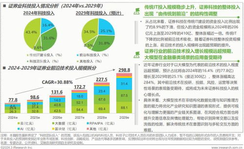 2025年中國(guó)金融科技（FinTech）行業(yè)發(fā)展洞察報(bào)告 信息技術(shù)咨詢(xún)服務(wù)的機(jī)遇與挑戰(zhàn)